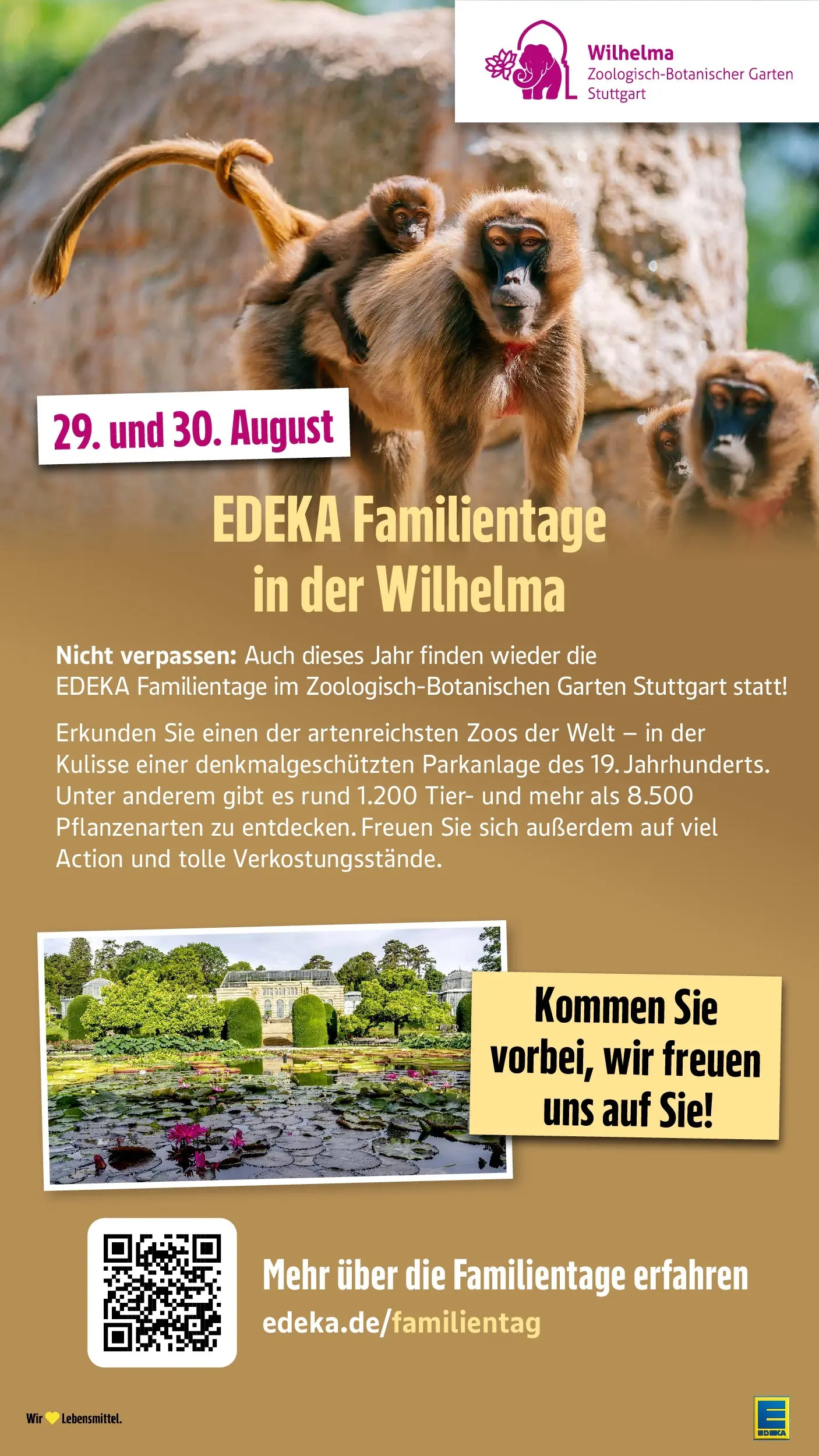E center Prospekt Singen (ab 20.07.2026) zum Blättern | Seite: 61