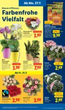 Lidl Lidl: Wochenangebote - ab 27.07.2026