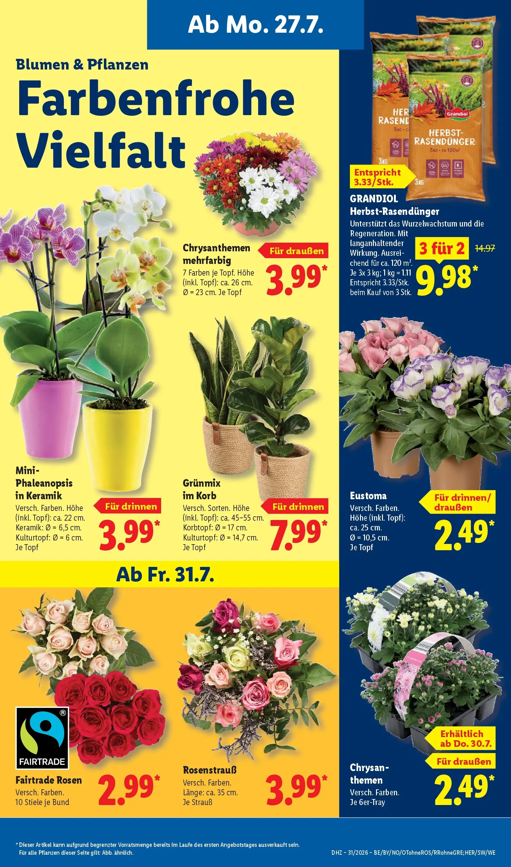 Lidl Prospekt Einbeck (ab 27.07.2026) ยป Angebote online | Seite: 7 | Produkte: Korb, Blumen Lidl Prospekt Einbeck (ab 27.07.2026) zum Blรคttern ยป Angebote | Seite: 7 | Produkte: Korb, Blumen
