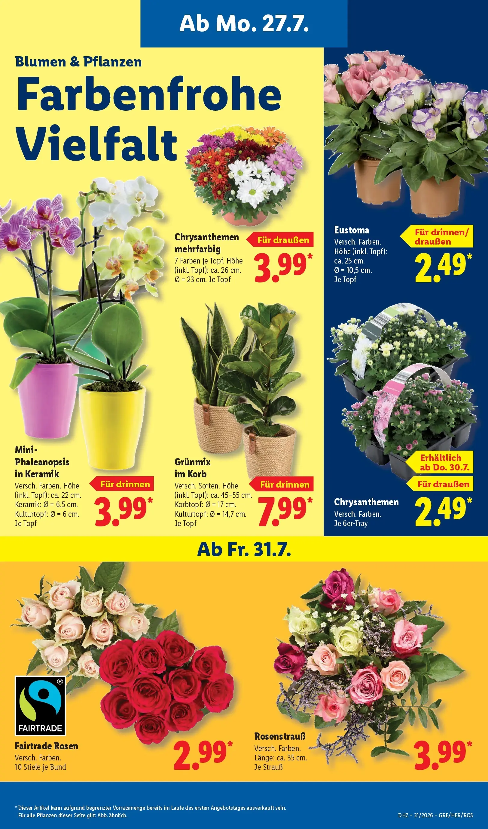 Lidl Prospekt Gelsenkirchen (ab 27.07.2026) ยป Angebote online | Seite: 7 | Produkte: Korb, Blumen Lidl Prospekt Gelsenkirchen (ab 27.07.2026) zum Blรคttern ยป Angebote | Seite: 7 | Produkte: Korb, Blumen