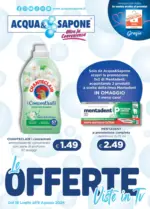 Acqua & Sapone SRL Societ&agrave; Consortile Le offerte viste in ti - al 08.08.2026