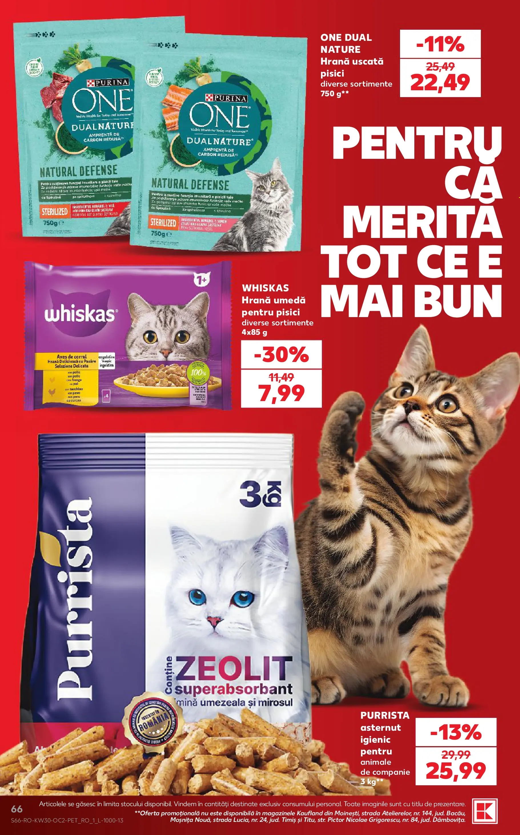 Kaufland Iași 22.07.2026 || Revista si Oferte | Pagină: 66 | Produse: Hacıyatmaz Kedi Oyuncağı Kaufland Iași 22.07.2026 - Revista si Oferta | Pagină: 66 | Produse: Hacıyatmaz Kedi Oyuncağı
