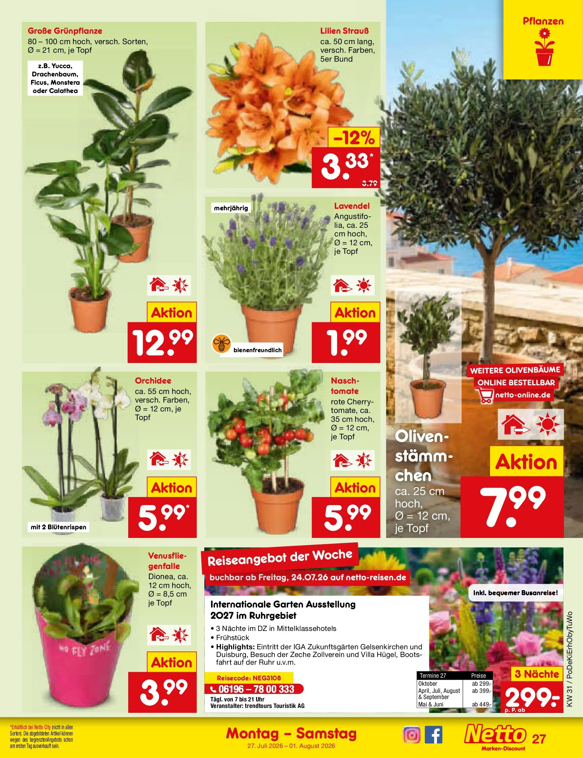 Netto Marken-Discount Prospekt Ergolding (ab 27.07.2026) ยป Angebote | Seite: 42 | Produkte: Orchidee, Lavendel, Uhr Netto Marken-Discount Prospekt Ergolding (ab 27.07.2026) ยป Angebote | Seite: 42 | Produkte: Orchidee, Lavendel, Uhr