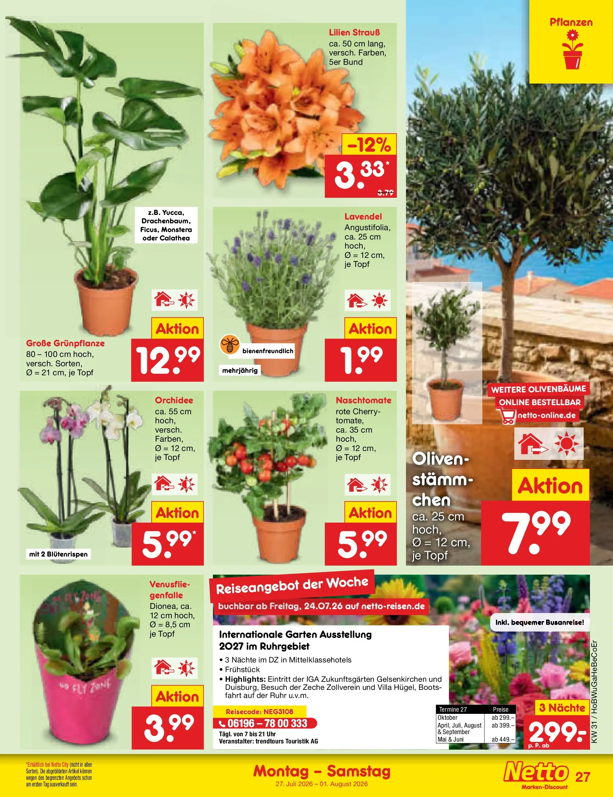 Netto Marken-Discount Prospekt Hannover (ab 27.07.2026) ยป Angebote | Seite: 42 | Produkte: Orchidee, Lavendel, Uhr Netto Marken-Discount Prospekt Hannover (ab 27.07.2026) ยป Angebote | Seite: 42 | Produkte: Orchidee, Lavendel, Uhr