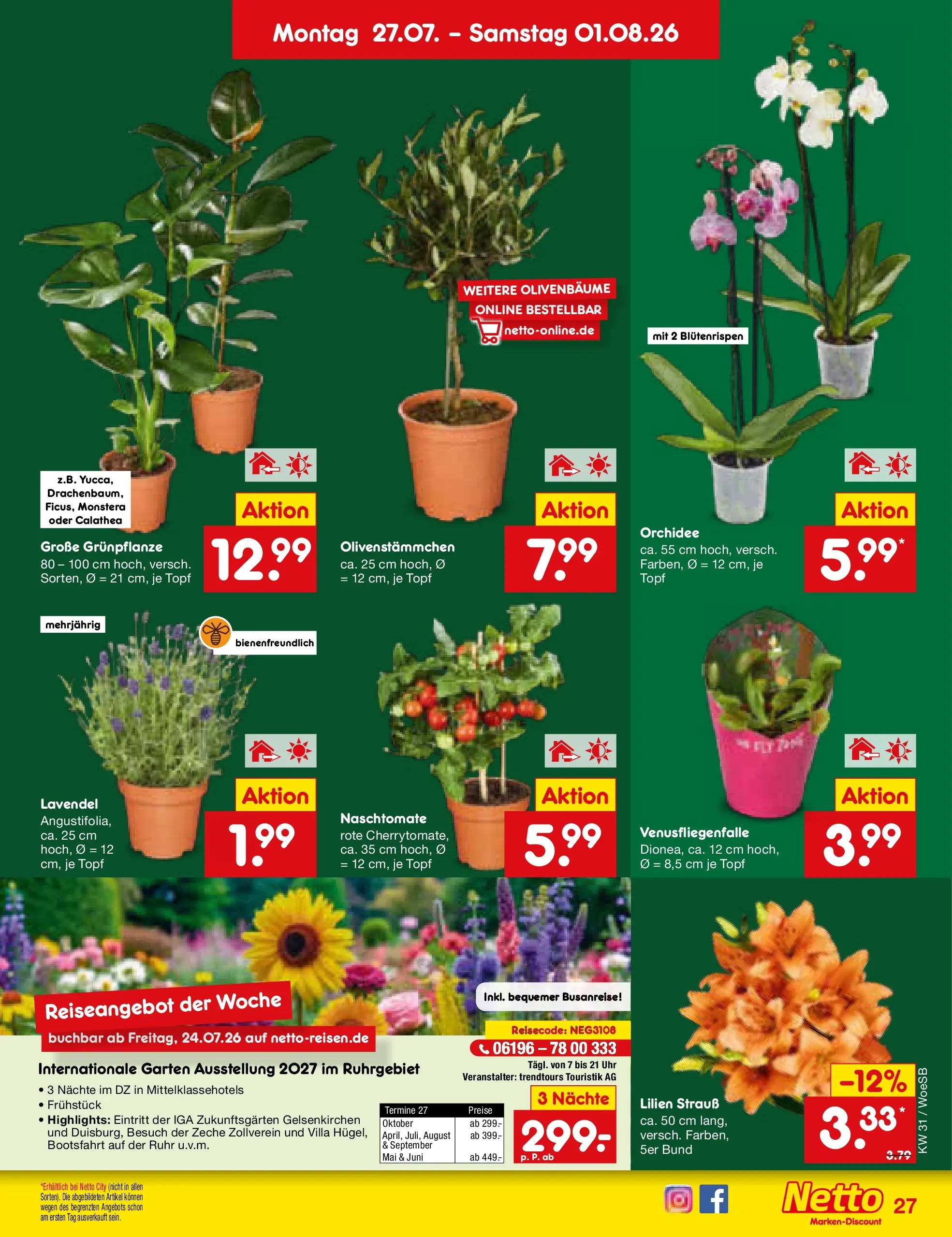 Netto Marken-Discount Prospekt Leonberg (ab 27.07.2026) » Angebote | Seite: 42 | Produkte: Orchidee, Lavendel, Uhr
