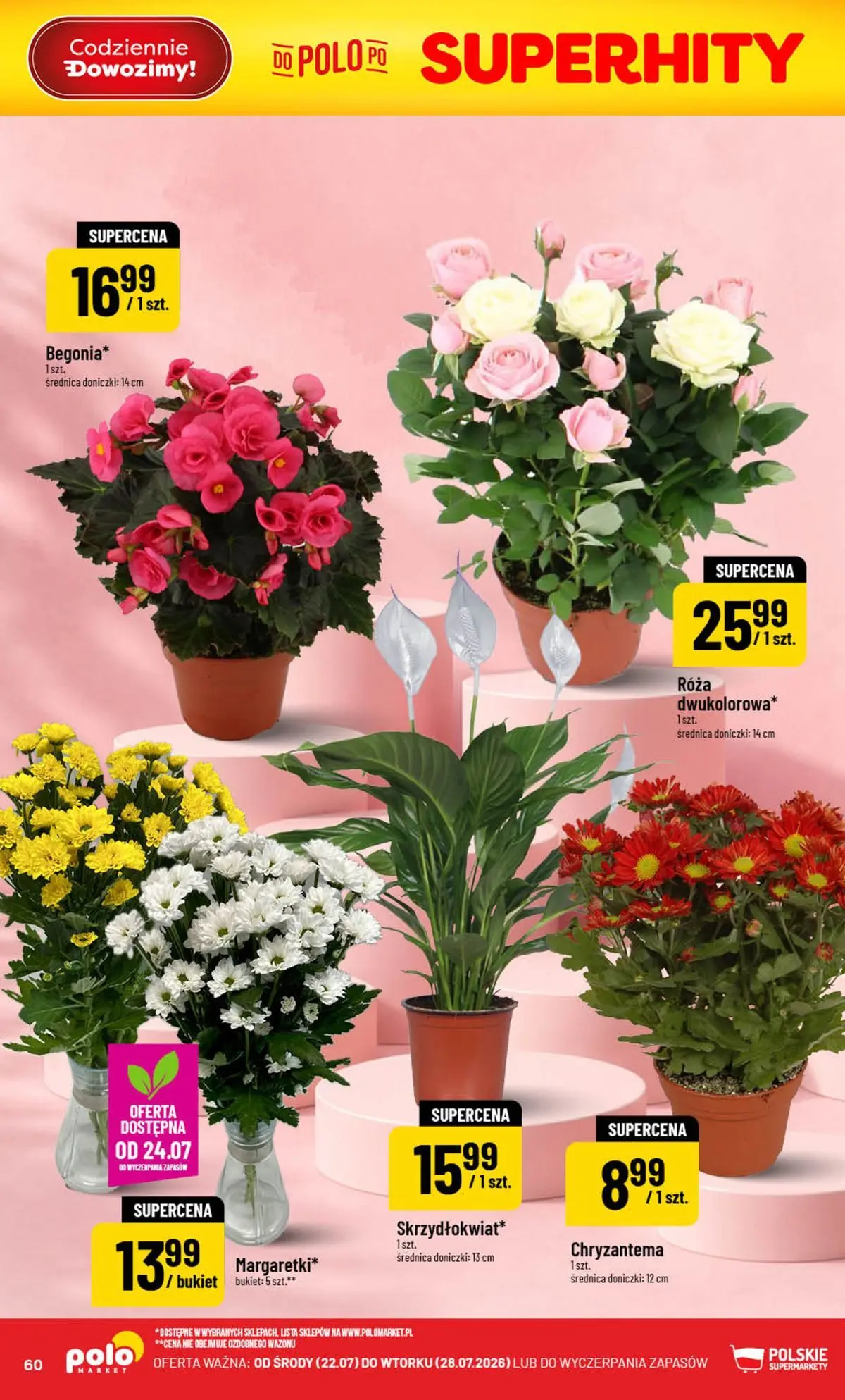 Nowa POLOmarket gazetka od jutra (22.07.2026) | Strona: 60 | Produkty: Doniczki Nowa POLOmarket gazetka od jutra 22.07.2026 | Strona: 60 | Produkty: Doniczki