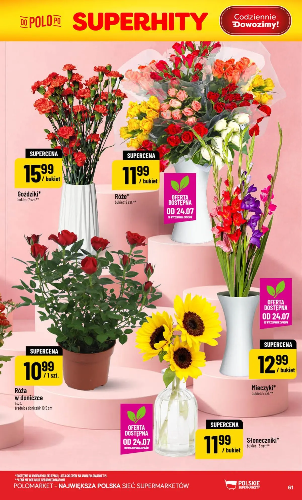 Nowa POLOmarket gazetka od jutra (22.07.2026) | Strona: 61 | Produkty: Doniczki Nowa POLOmarket gazetka od jutra 22.07.2026 | Strona: 61 | Produkty: Doniczki