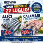 BluVivo Le nostre migliori offerte per te - al 22.07.2026