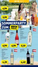 HOFER HOFER: Flugblatt - ab 24.07.2026