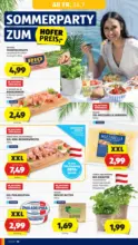 HOFER HOFER: Flugblatt - ab 24.07.2026
