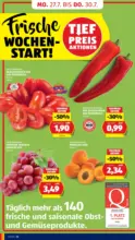 HOFER HOFER: Flugblatt - ab 24.07.2026