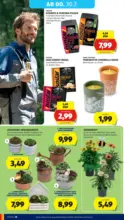 HOFER HOFER: Flugblatt - ab 24.07.2026