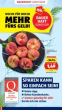 HOFER HOFER: Flugblatt - ab 24.07.2026