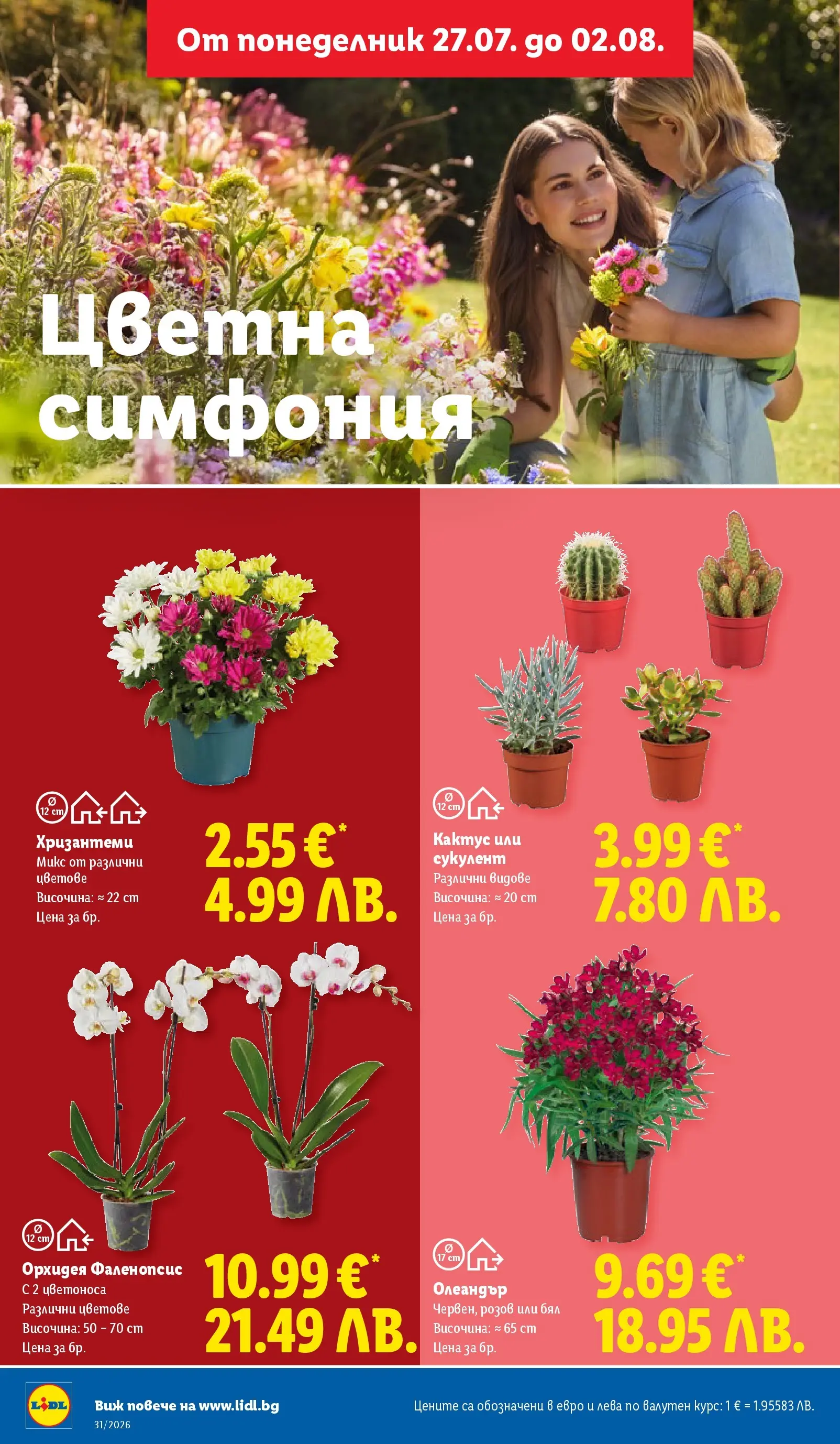 Лидл брошура - Двойно повече на същата цена за избрани продукти от 27.07.2026 | Страница: 46 | Продукти: Орхидея Лидл брошура - Двойно повече на същата цена за избрани продукти от 27.07.2026 | Страница: 46 | Продукти: Орхидея