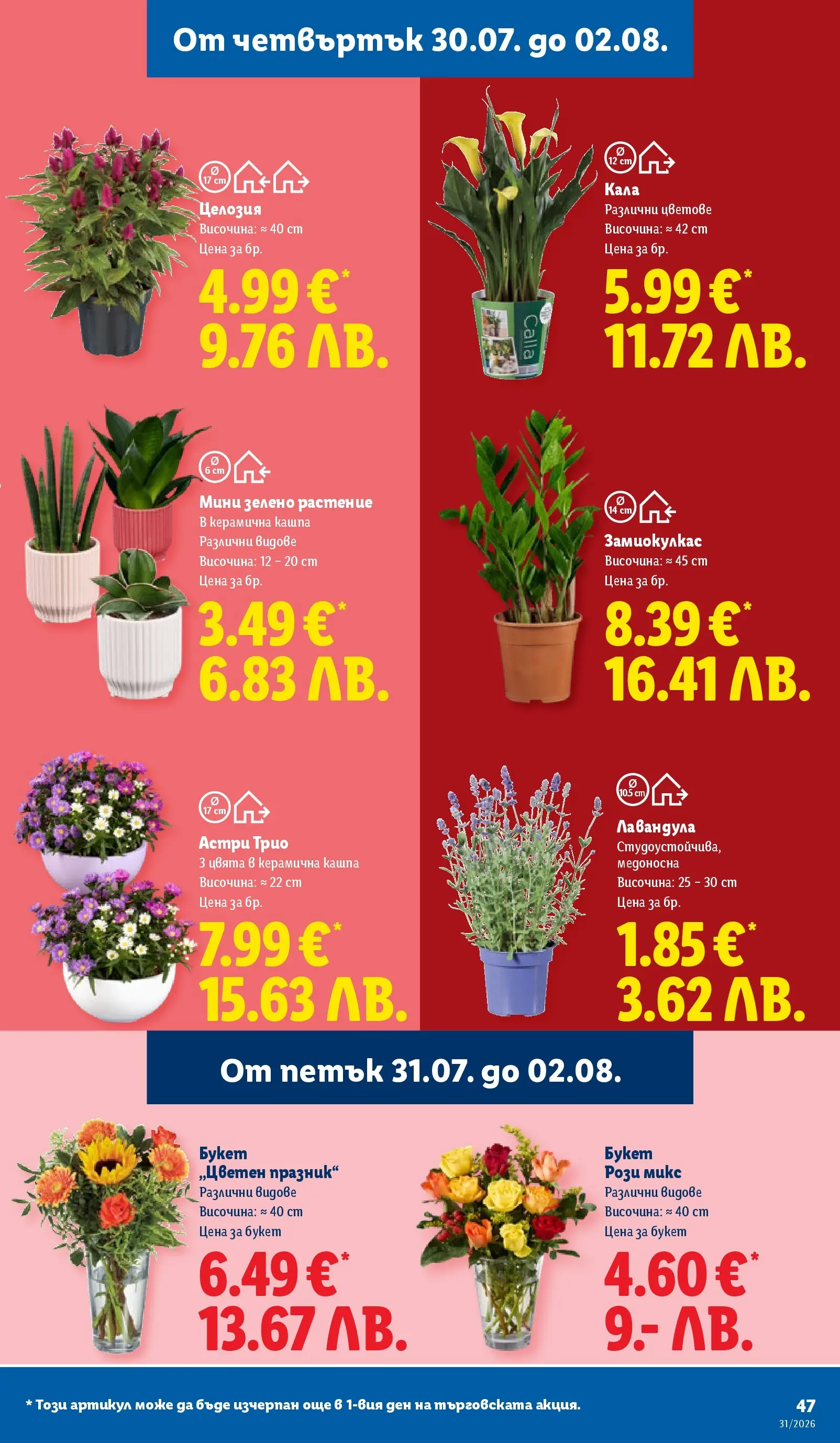 Лидл брошура - Двойно повече на същата цена за избрани продукти от 27.07.2026 | Страница: 47 | Продукти: Кашпа Лидл брошура - Двойно повече на същата цена за избрани продукти от 27.07.2026 | Страница: 47 | Продукти: Кашпа