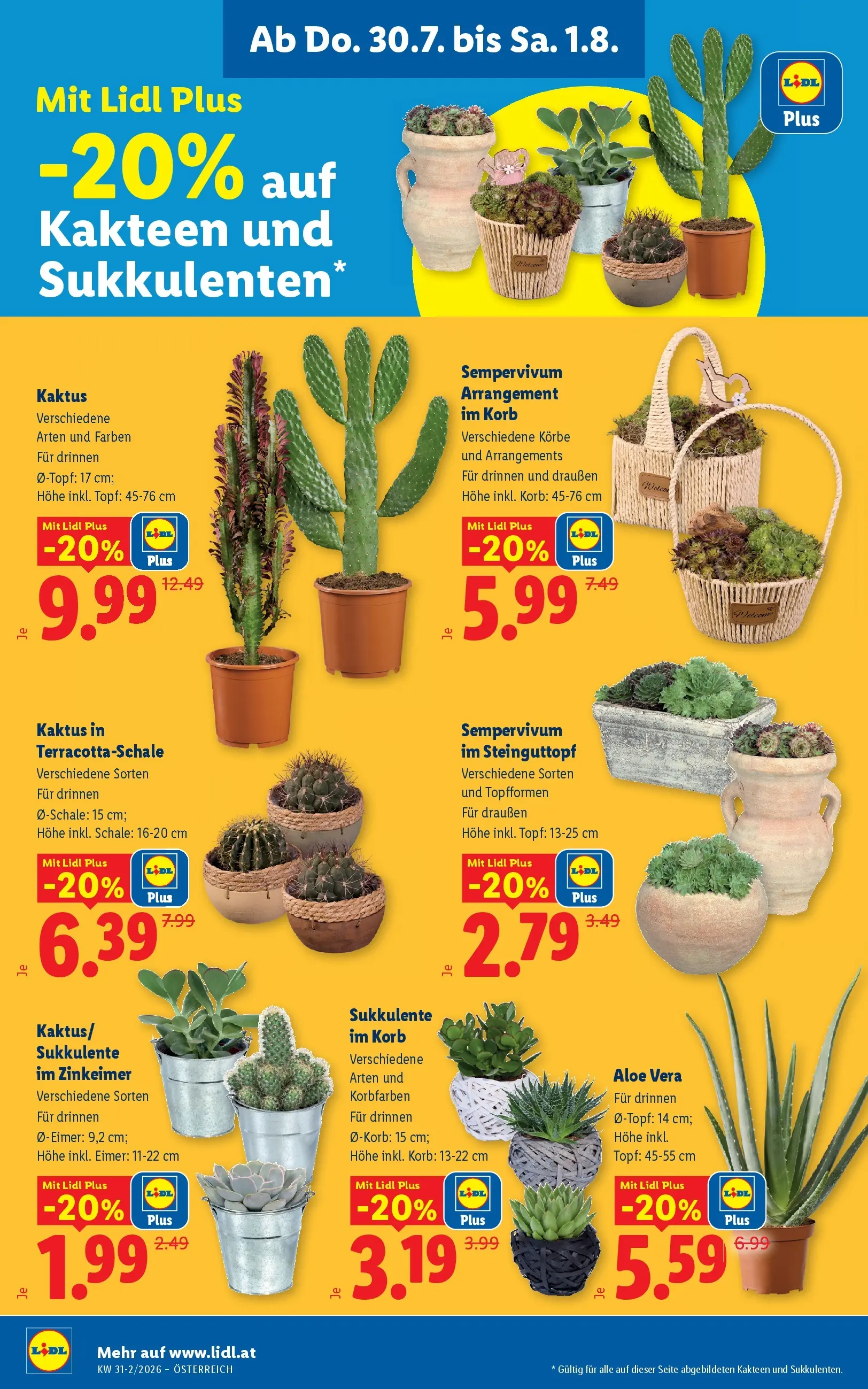 Lidl - Lidl ab 30.07.2026 - Angebote ab donnerstag | Seite: 26