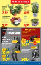 Lidl Lidl - ab 30.07.2026