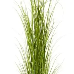JYSK Plantă artificială MARKUSFLUE 90cm