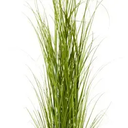 JYSK Plantă artificială MARKUSFLUE 90cm