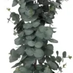 JYSK JYSK Plantă artificială RIPA 90cm eucalipt