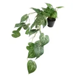 JYSK Plantă artificială KNOPPSVANE 30cm verde