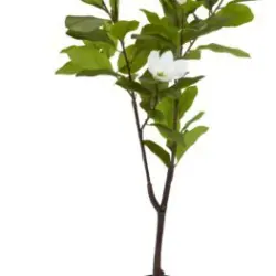 JYSK Plantă artificială SPINDEL 120cm magnolia