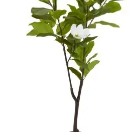 JYSK Plantă artificială SPINDEL 120cm magnolia