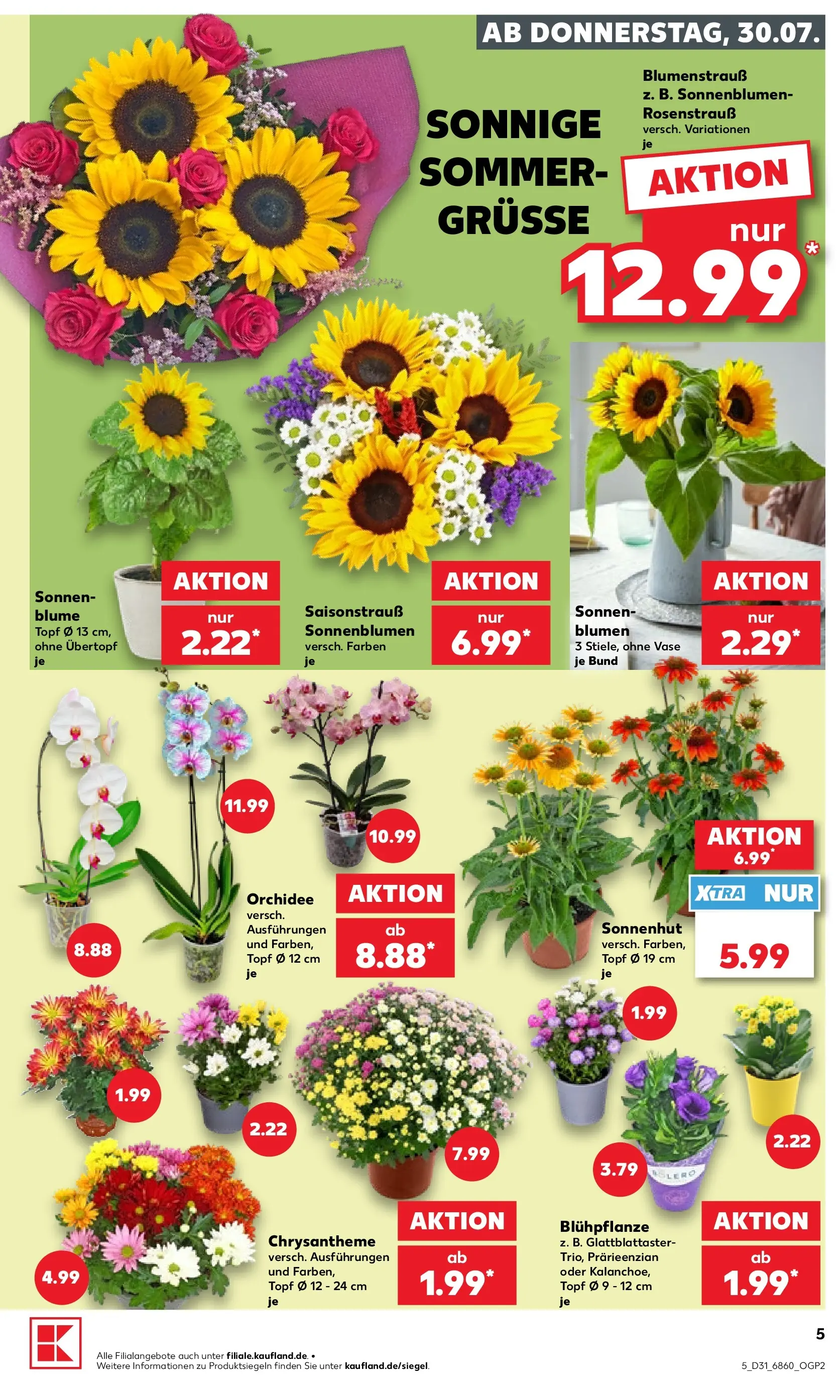 Prospekt Kaufland ab 30.07.2026 ยป Angebote und Werbung Online | Seite: 9 | Produkte: Orchidee, Blumen, Vase Prospekt Kaufland ab 30.07.2026 ยป Angebote Online zum Blรคttern | Seite: 9 | Produkte: Orchidee, Blumen, Vase