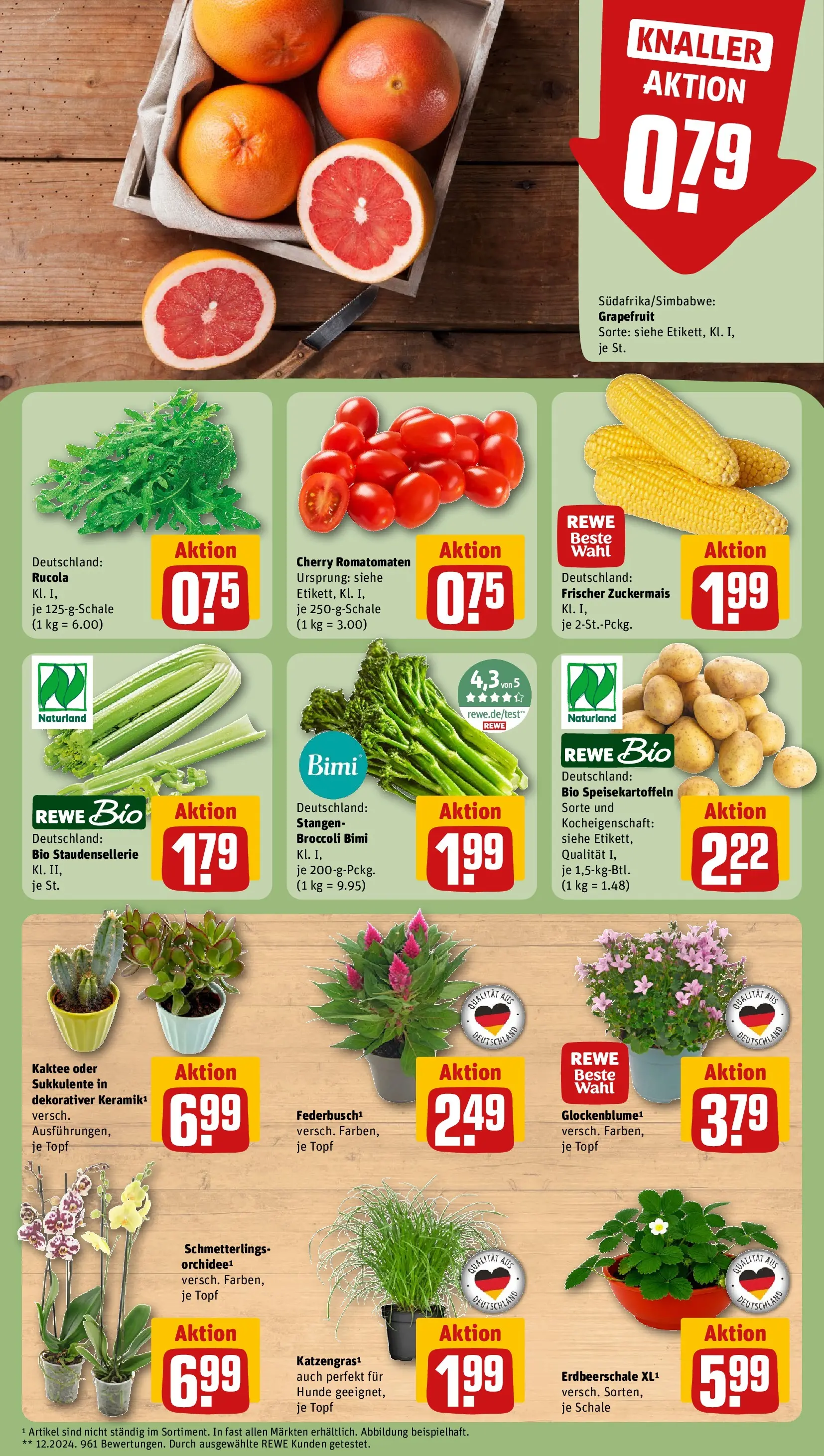 REWE Prospekt ab 27.07.2026 zum Blättern » Angebote | Seite: 7 | Produkte: Orchidee, Rucola, Grapefruit