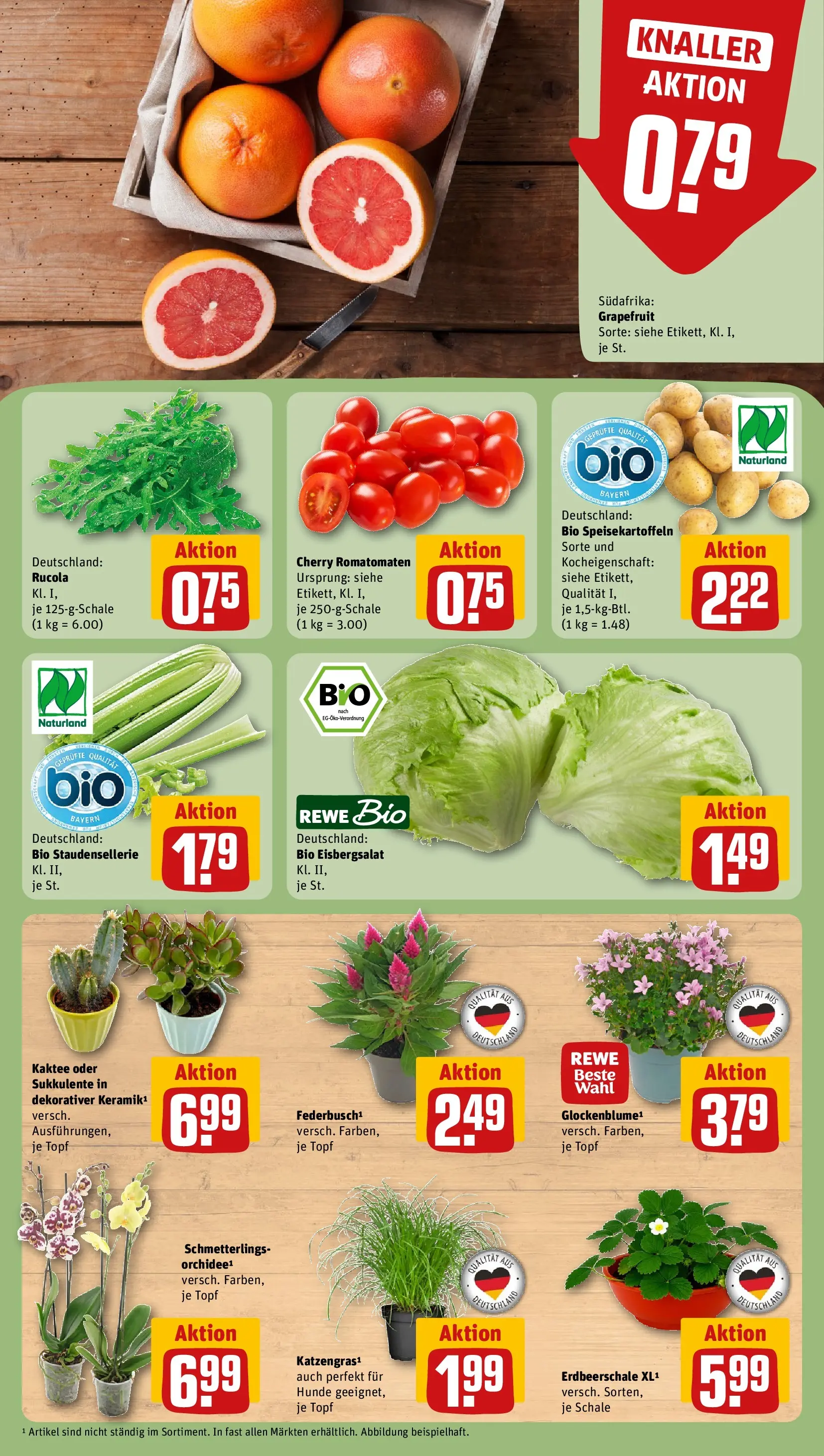 REWE Prospekt ab 27.07.2026 zum Blättern » Angebote | Seite: 7 | Produkte: Orchidee, Rucola, Eisbergsalat, Grapefruit