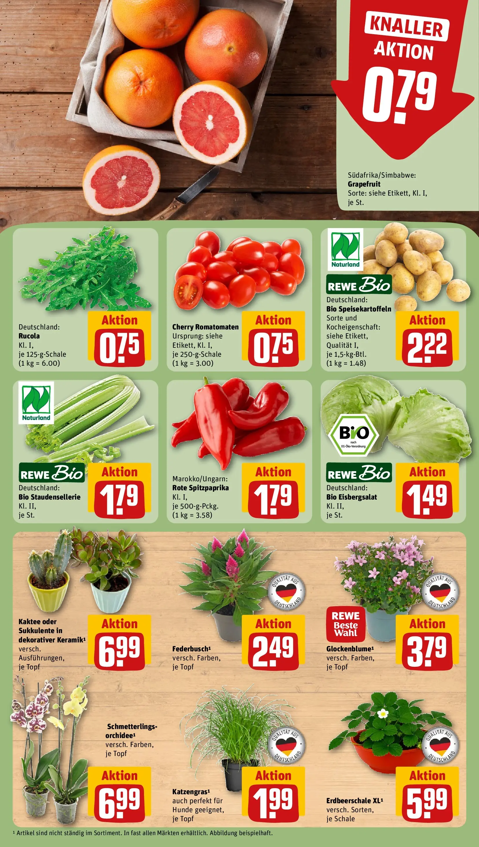 REWE Prospekt ab 27.07.2026 zum Blättern » Angebote | Seite: 7 | Produkte: Orchidee, Rucola, Eisbergsalat, Grapefruit
