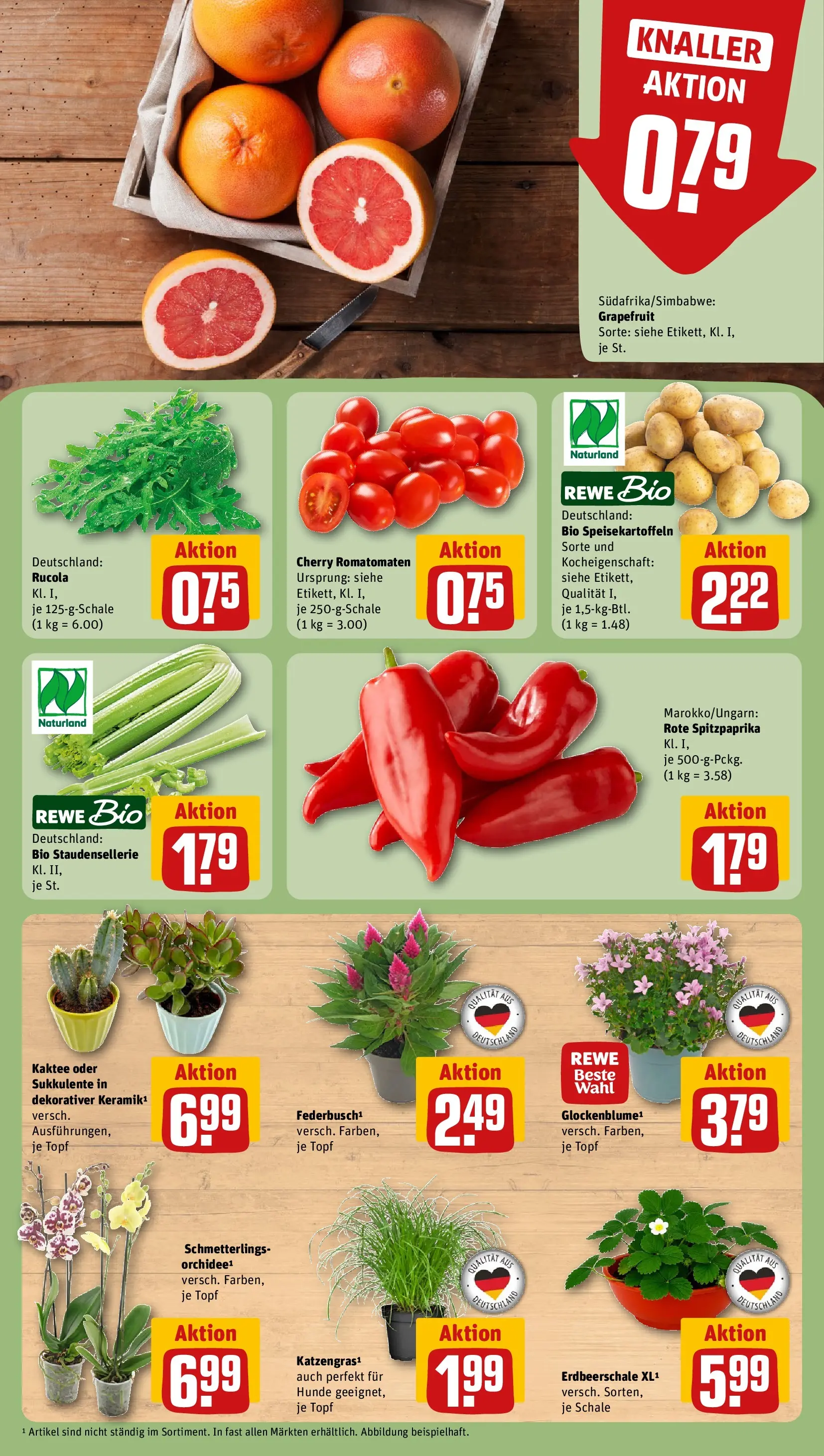 REWE Prospekt ab 27.07.2026 zum Blättern » Angebote | Seite: 7 | Produkte: Orchidee, Rucola, Grapefruit