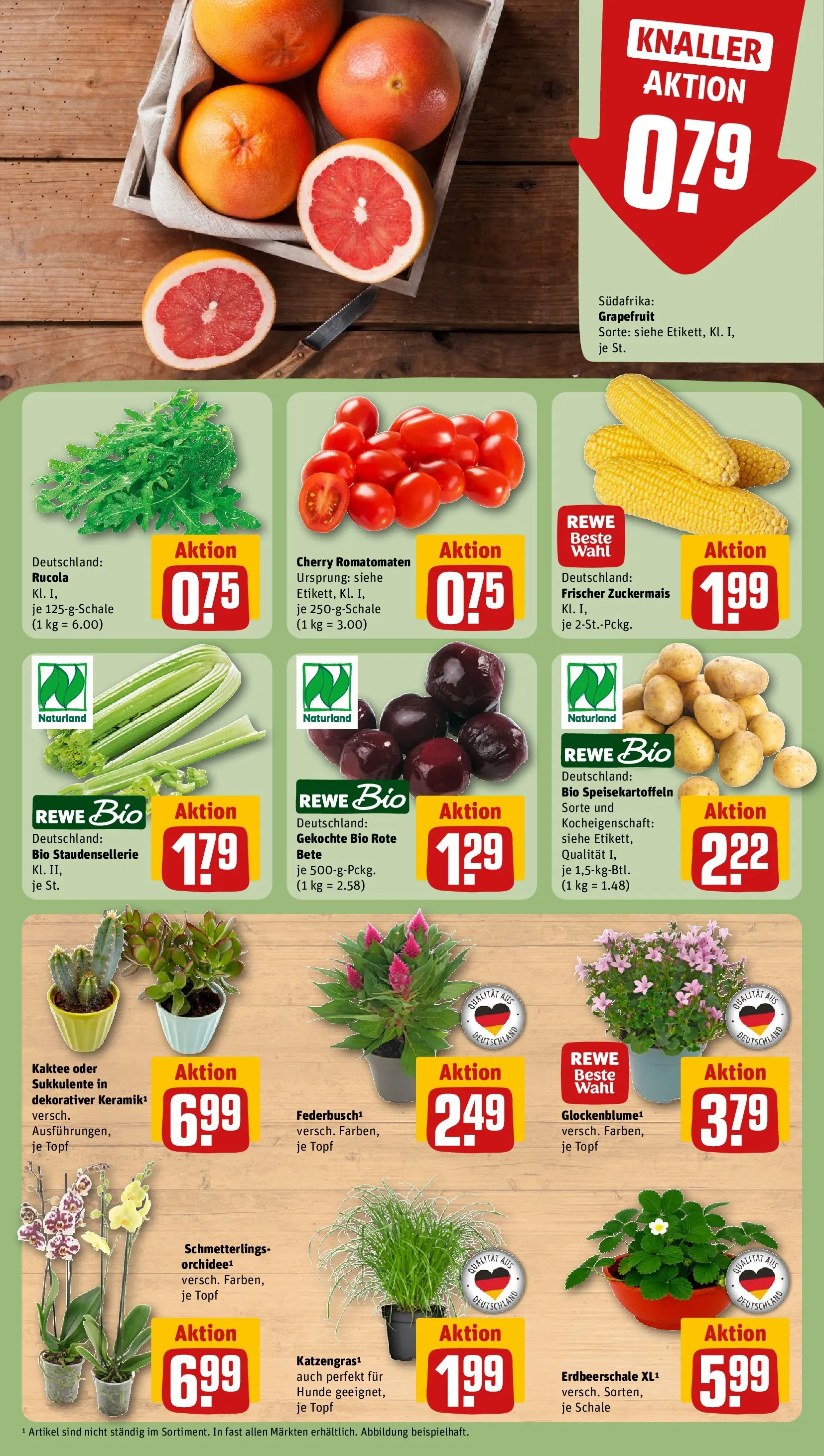REWE Prospekt ab 27.07.2026 zum Blättern » Angebote | Seite: 7 | Produkte: Orchidee, Rucola, Grapefruit