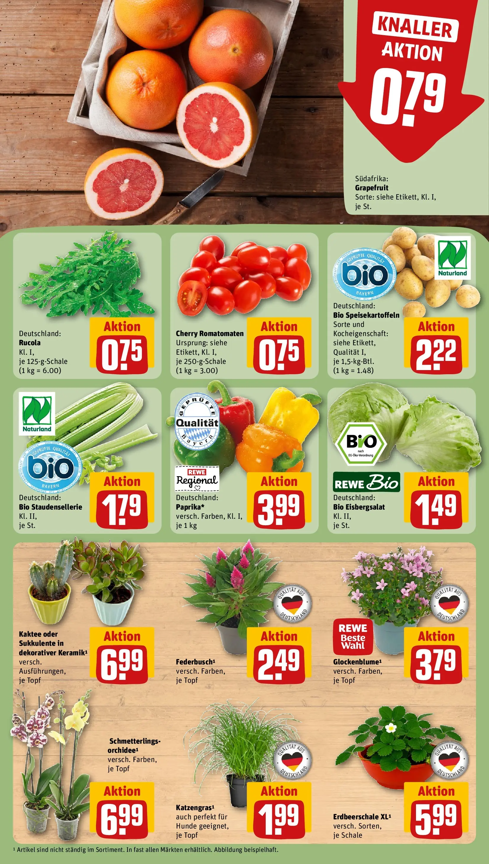 REWE Prospekt ab 27.07.2026 zum Blättern » Angebote | Seite: 7 | Produkte: Orchidee, Rucola, Eisbergsalat, Grapefruit