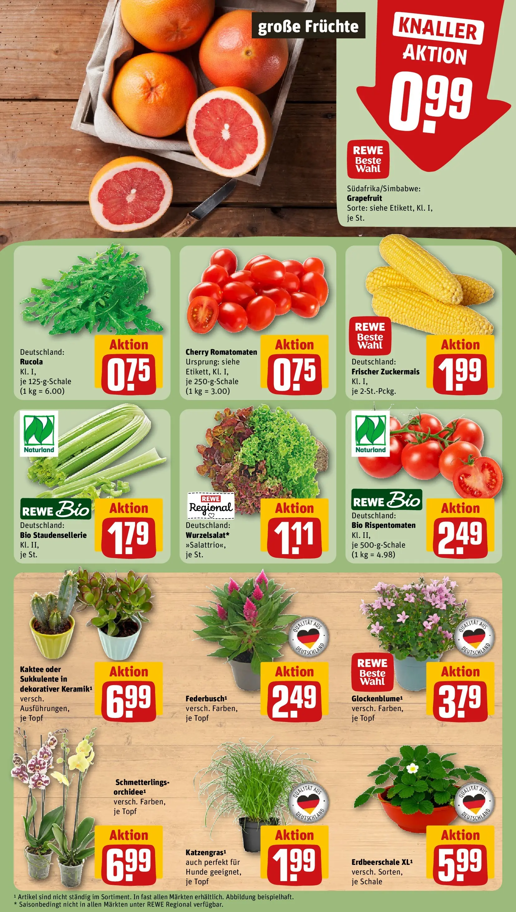 REWE Prospekt ab 27.07.2026 zum Blättern » Angebote | Seite: 7 | Produkte: Orchidee, Rucola, Grapefruit