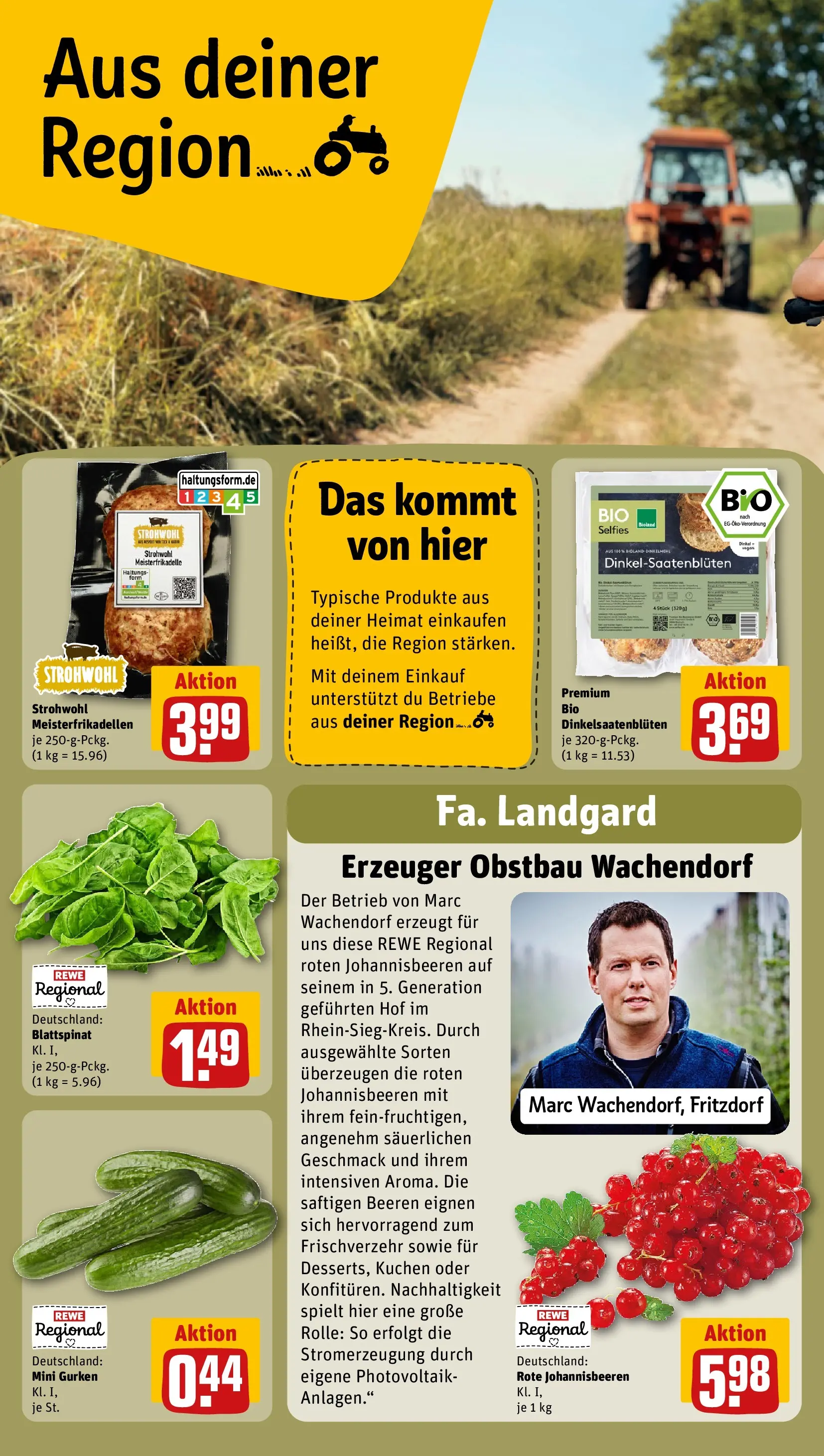REWE Prospekt ab 27.07.2026 zum Blättern » Angebote | Seite: 26 | Produkte: Kuchen, Gurken