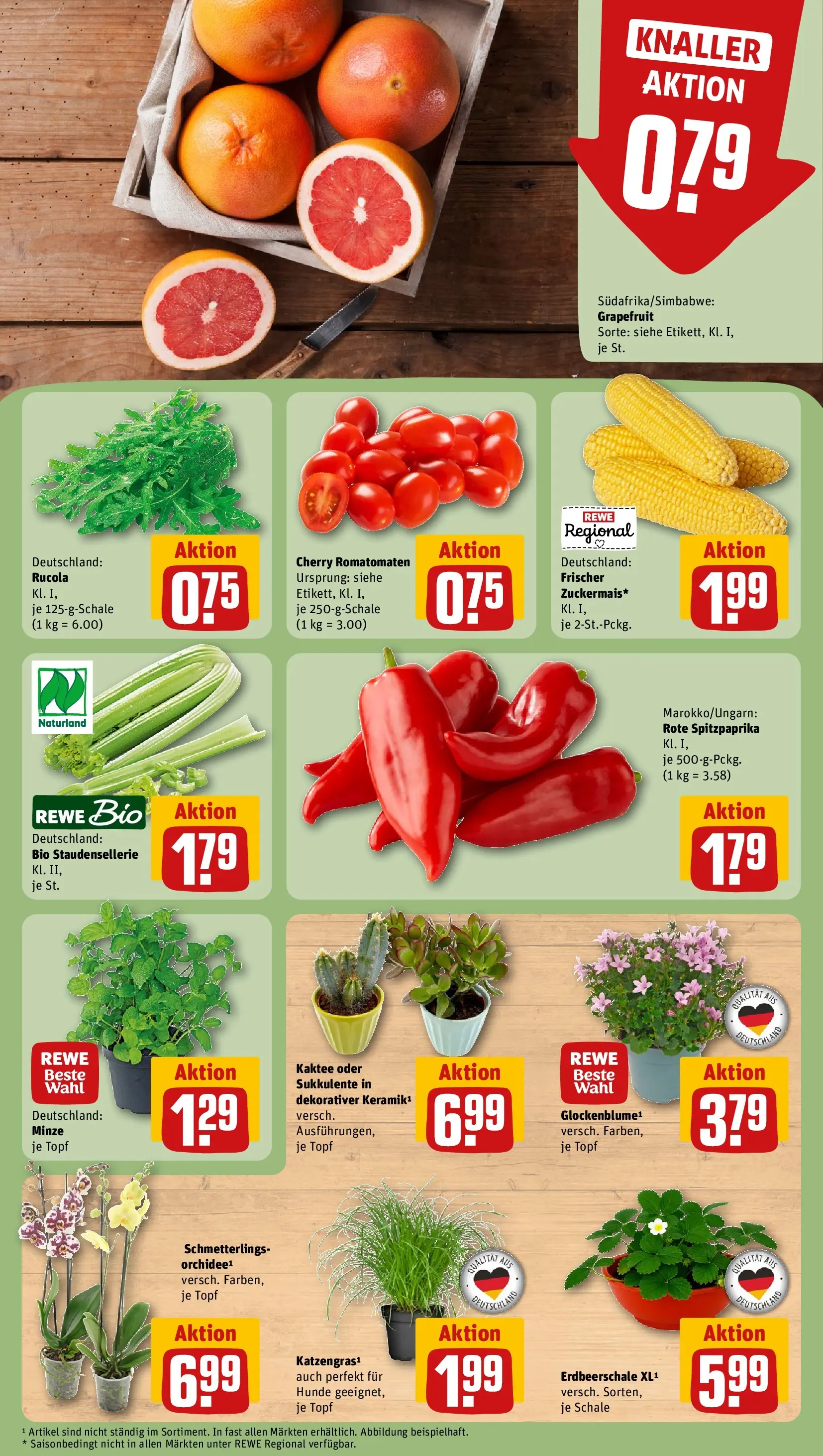 REWE Prospekt ab 27.07.2026 zum Blättern » Angebote | Seite: 5 | Produkte: Orchidee, Rucola, Grapefruit
