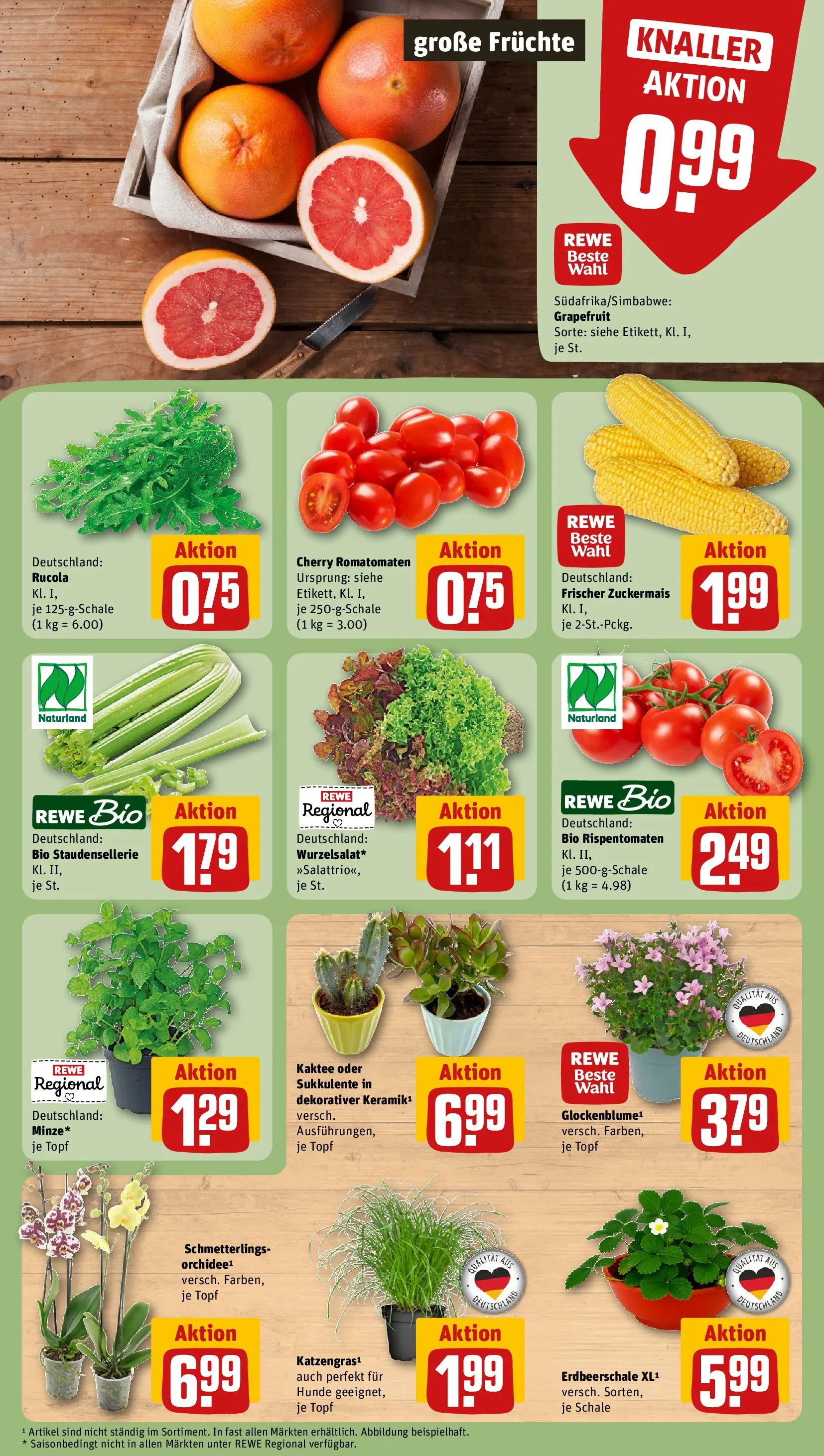 REWE Prospekt ab 27.07.2026 zum Blättern » Angebote | Seite: 5 | Produkte: Rucola, Grapefruit