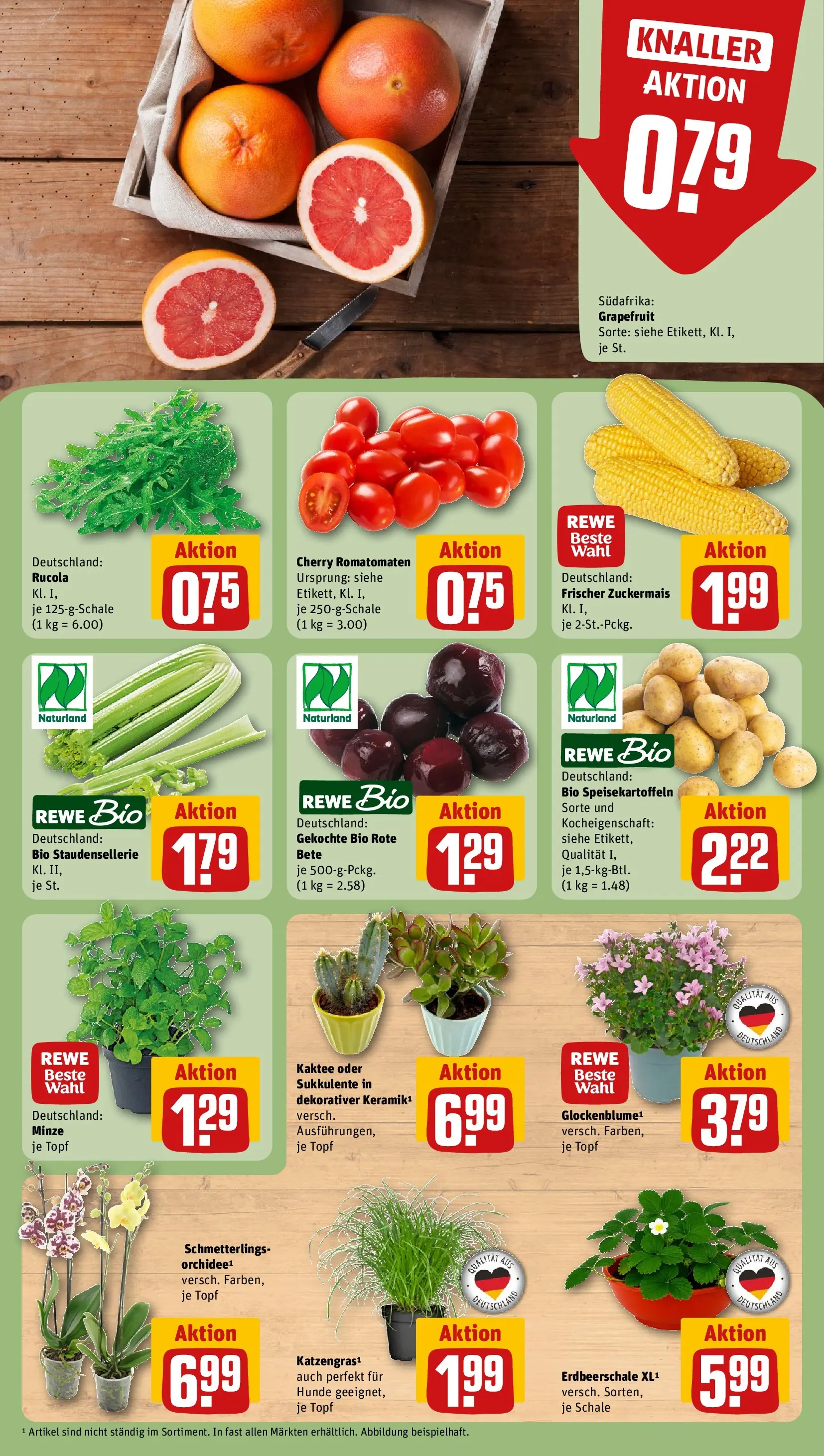 REWE Prospekt ab 27.07.2026 zum Blättern » Angebote | Seite: 5 | Produkte: Rucola, Grapefruit