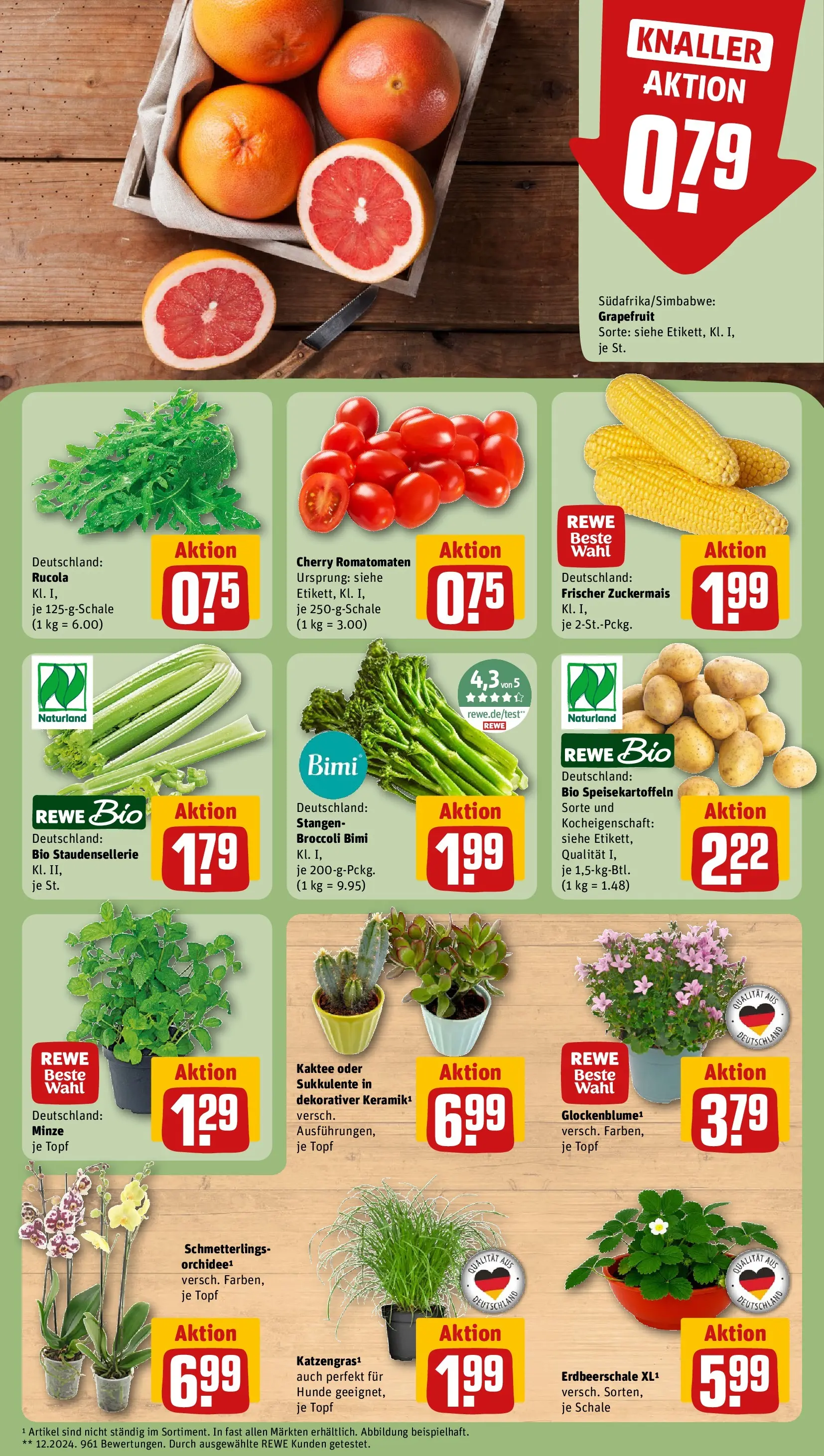 REWE Prospekt ab 27.07.2026 zum Blättern » Angebote | Seite: 5 | Produkte: Orchidee, Rucola, Grapefruit