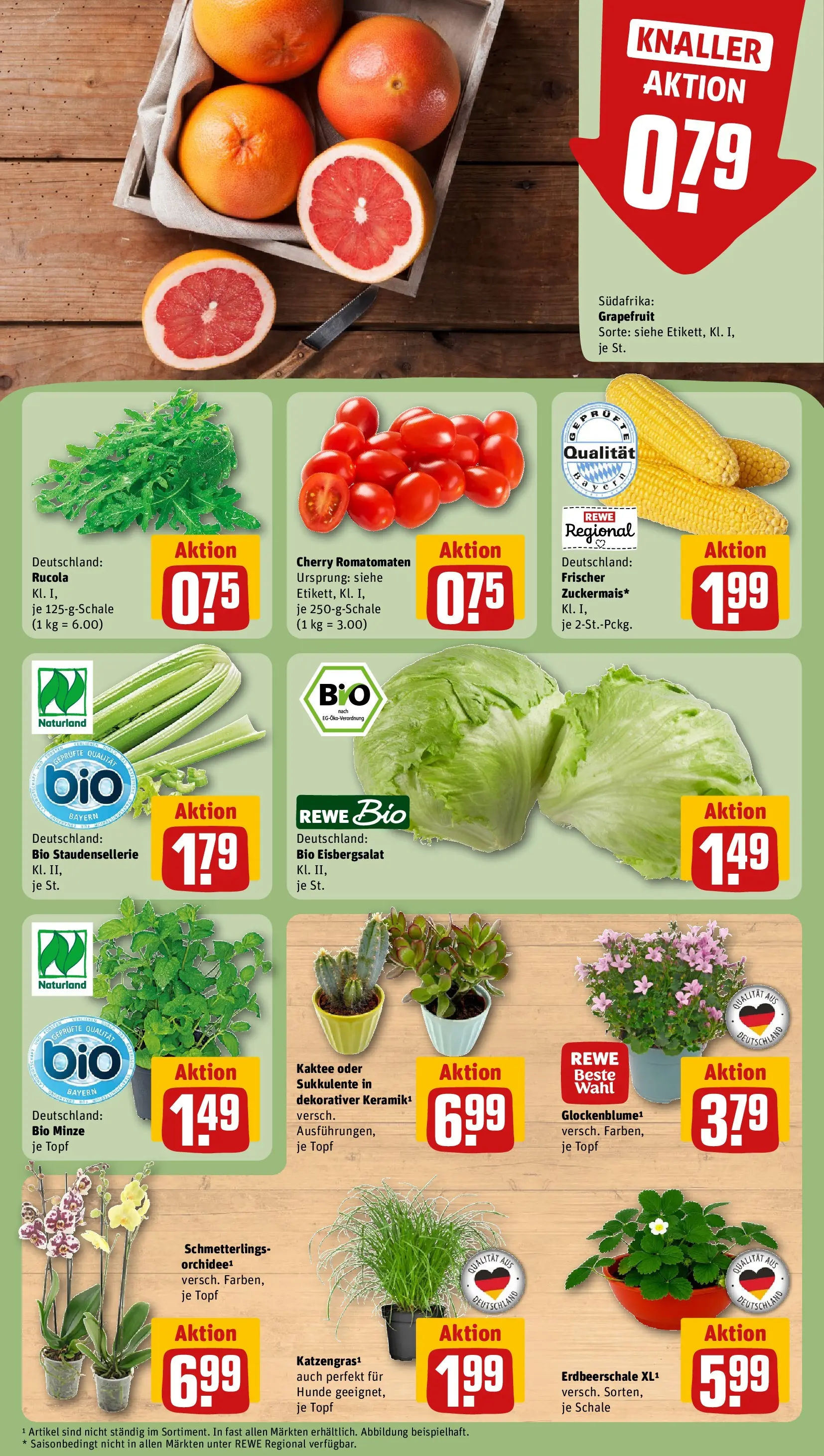 REWE Prospekt ab 27.07.2026 zum Blättern » Angebote | Seite: 5 | Produkte: Orchidee, Rucola, Eisbergsalat, Grapefruit