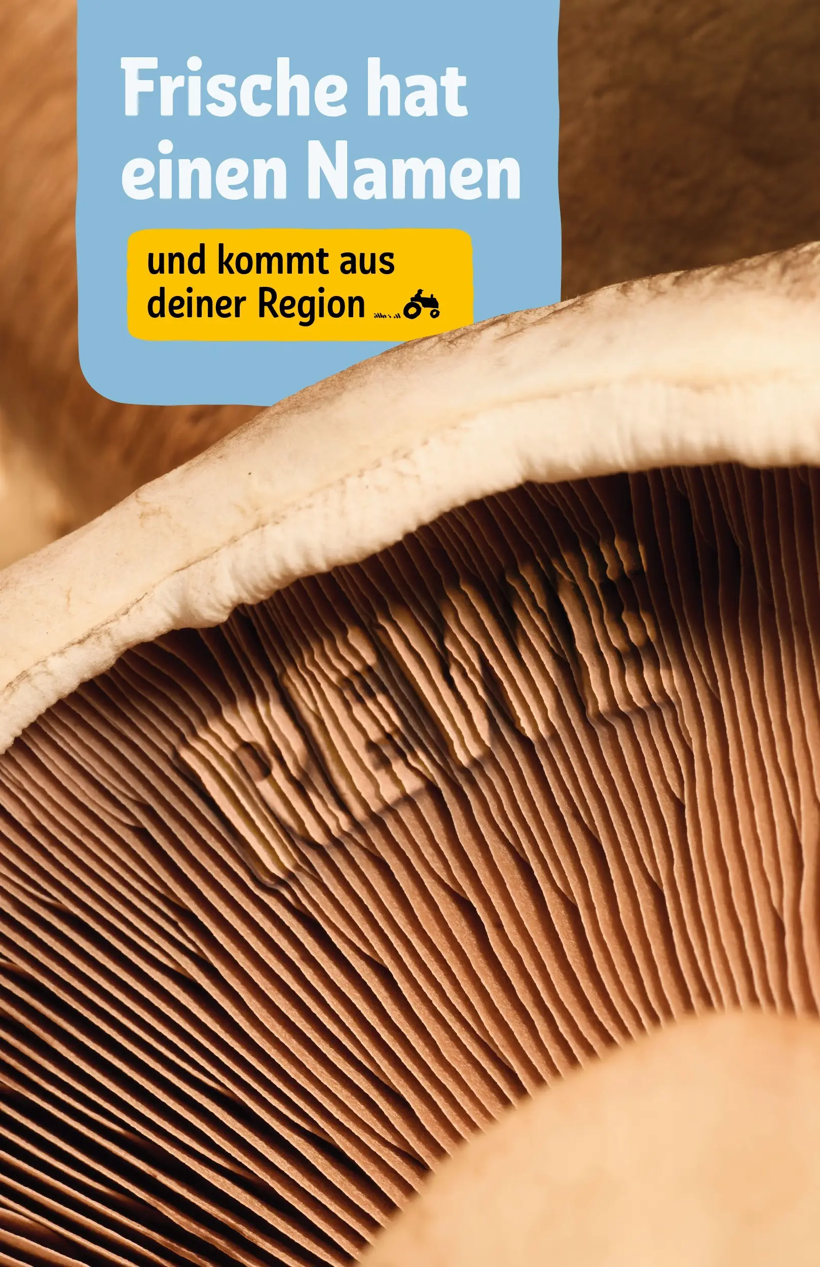 REWE Prospekt ab 27.07.2026 zum Blättern » Angebote | Seite: 19
