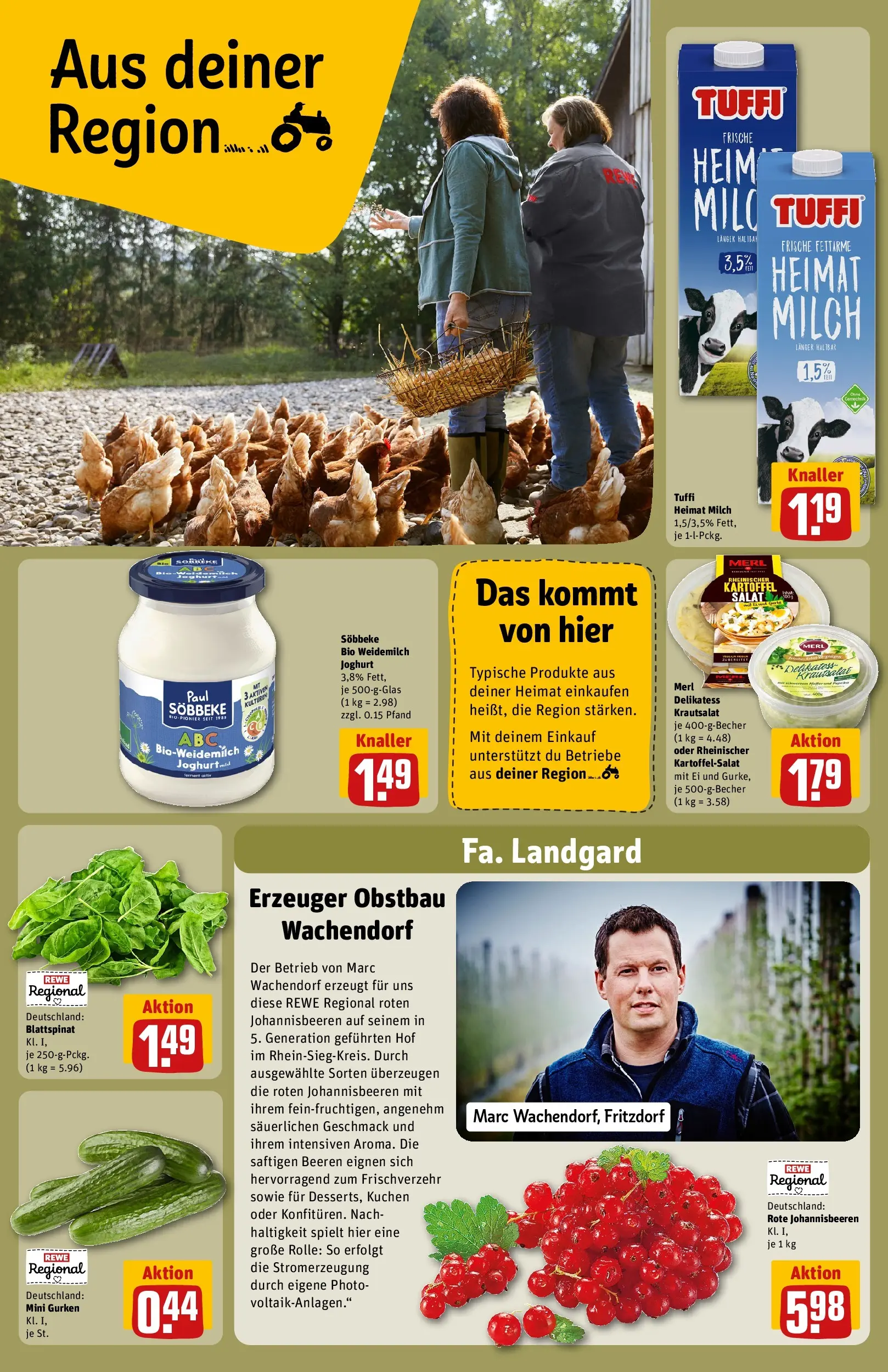 REWE Prospekt ab 27.07.2026 zum Blättern » Angebote | Seite: 26 | Produkte: Milch, Kuchen, Gurken, Salat