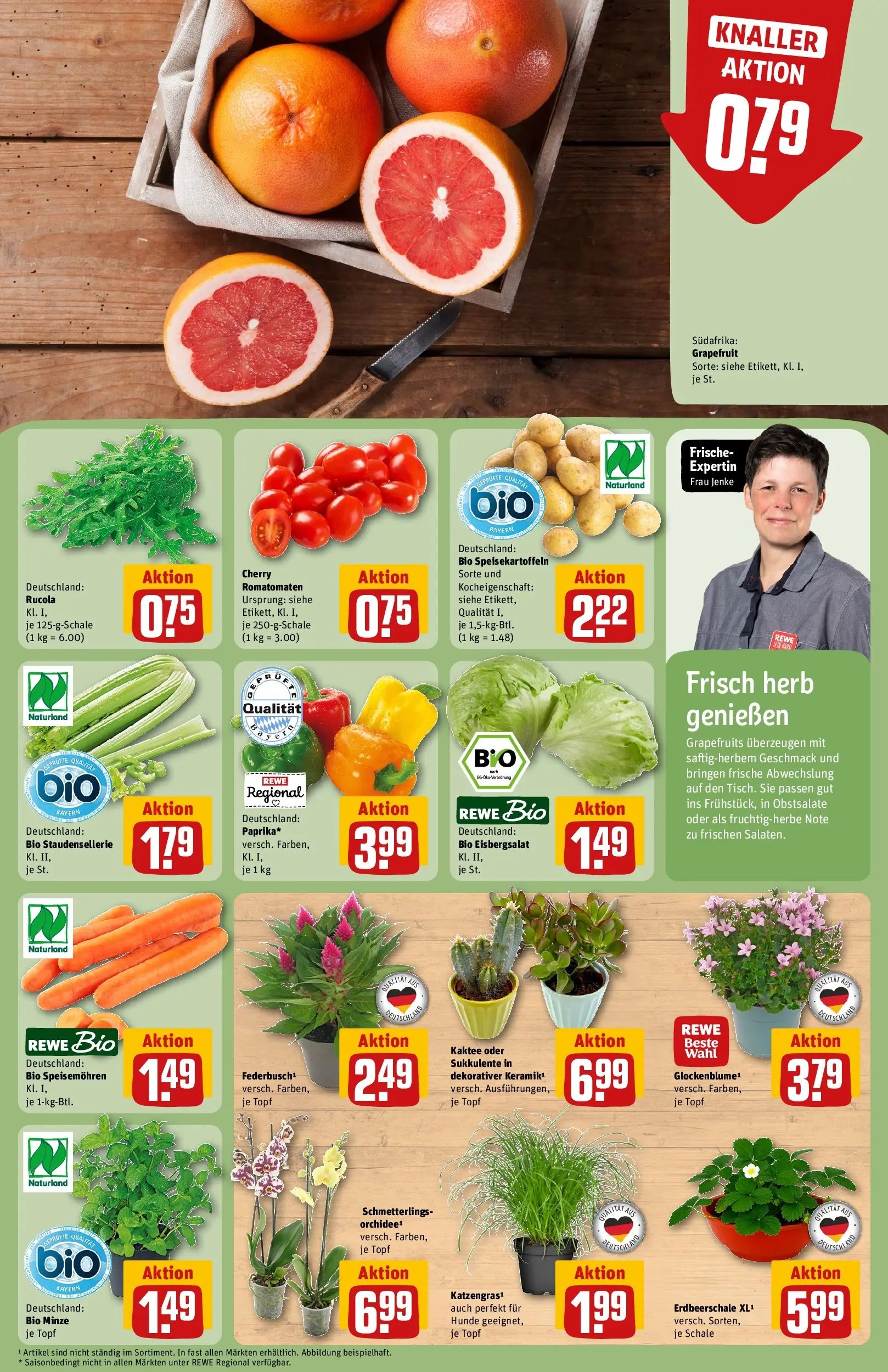 REWE Prospekt ab 27.07.2026 zum Blättern » Angebote | Seite: 7 | Produkte: Rucola, Eisbergsalat, Grapefruit