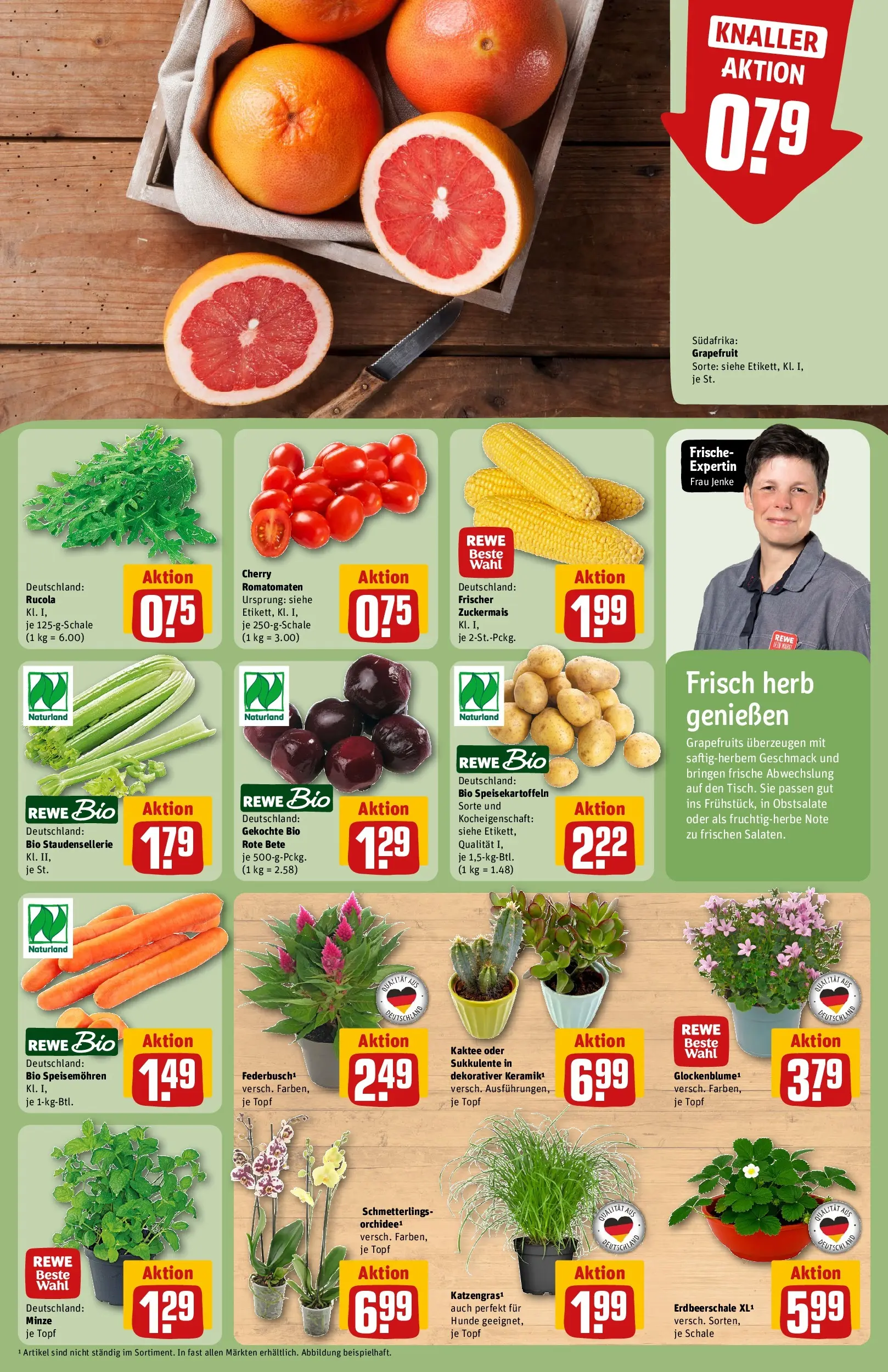 REWE Prospekt ab 27.07.2026 zum Blättern » Angebote | Seite: 7 | Produkte: Rucola, Grapefruit