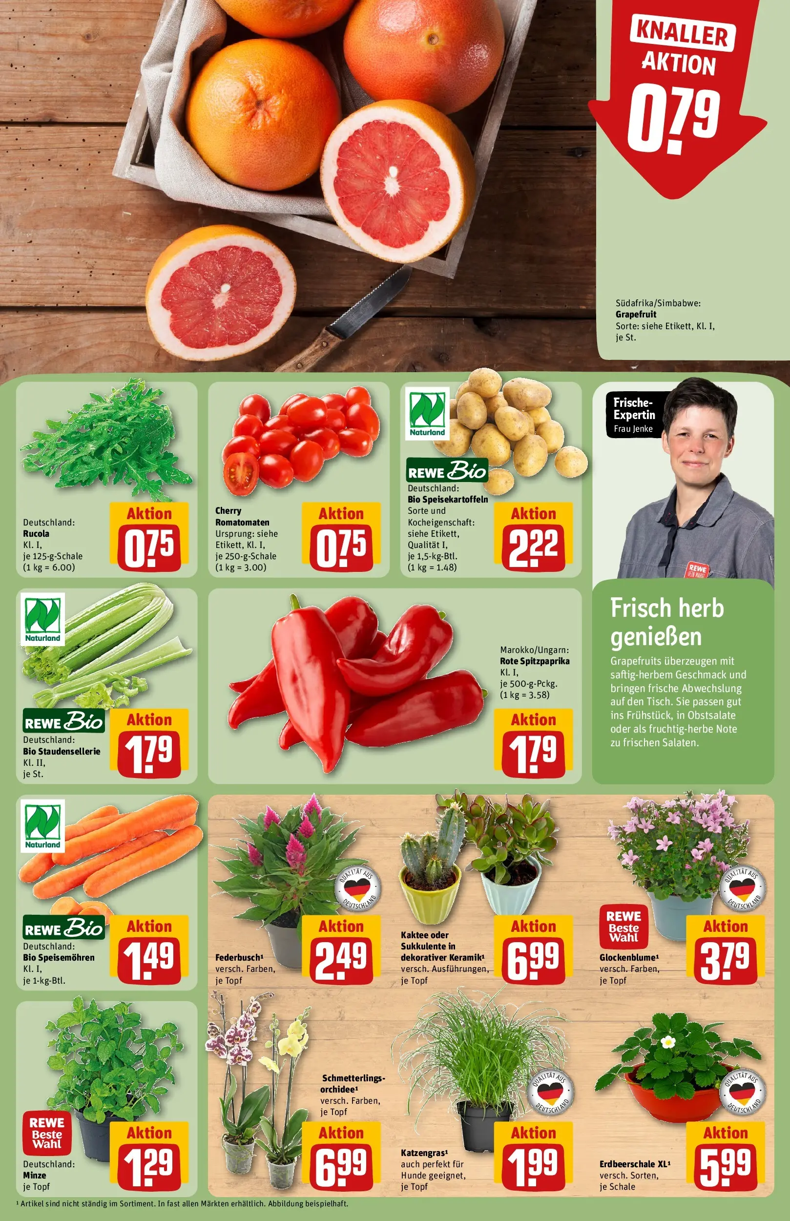 REWE Prospekt ab 27.07.2026 zum Blättern » Angebote | Seite: 11 | Produkte: Rucola, Grapefruit