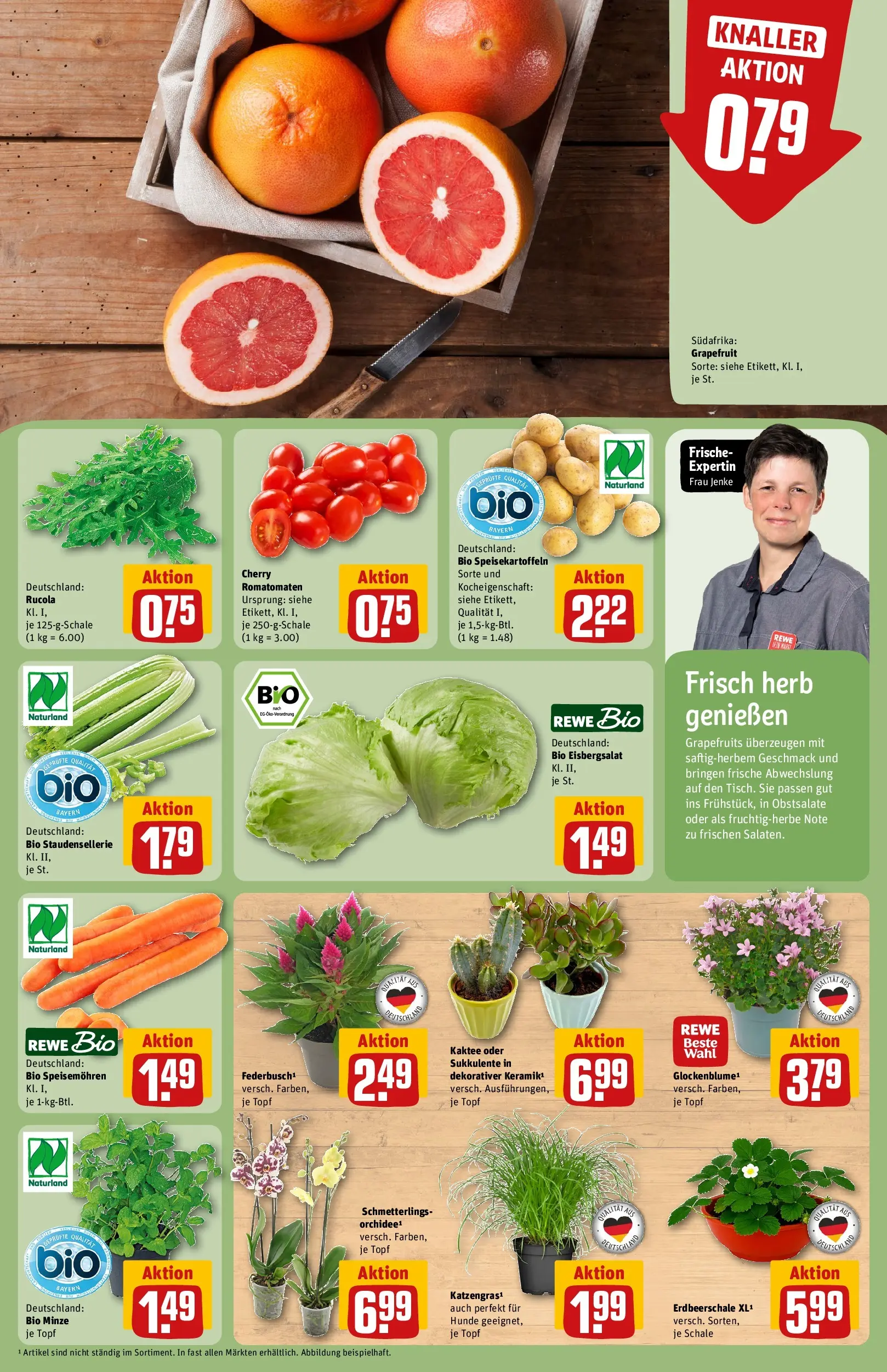 REWE Prospekt ab 27.07.2026 zum Blättern » Angebote | Seite: 7 | Produkte: Rucola, Eisbergsalat, Grapefruit