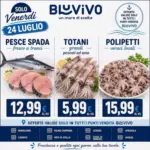 BluVivo Le migliori offerte per tutti i cacciatori di affari - al 24.07.2026
