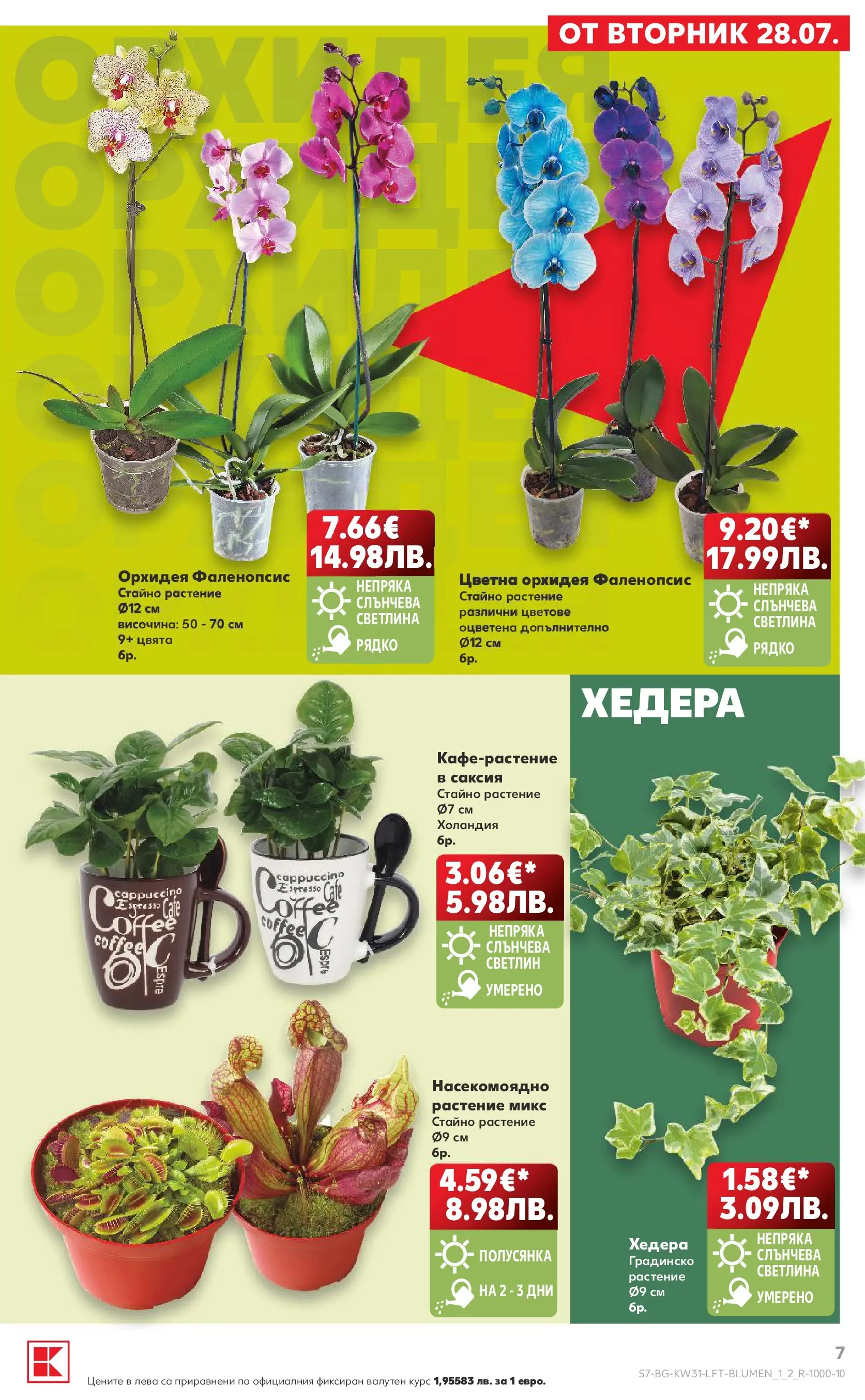 Нова Кауфланд брошура от 27.07.2026 | Страница: 7 | Продукти: Орхидея, Саксия Нова Кауфланд брошура - Топ оферти в Kaufland с валидност до 2.08.2026 от 27.07.2026 | Страница: 7 | Продукти: Орхидея, Саксия