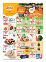 Globus Globus 31 26 L1 &ndash; do 04.08.2026